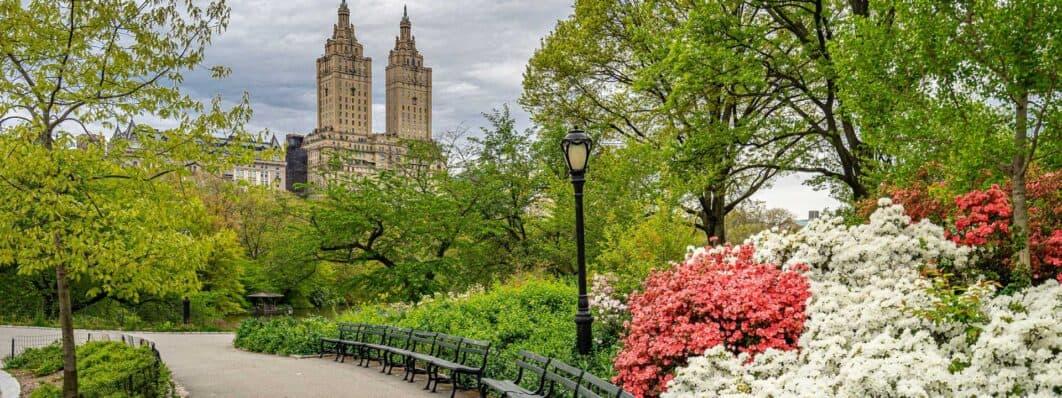 vegetação do Central Park em Nova York