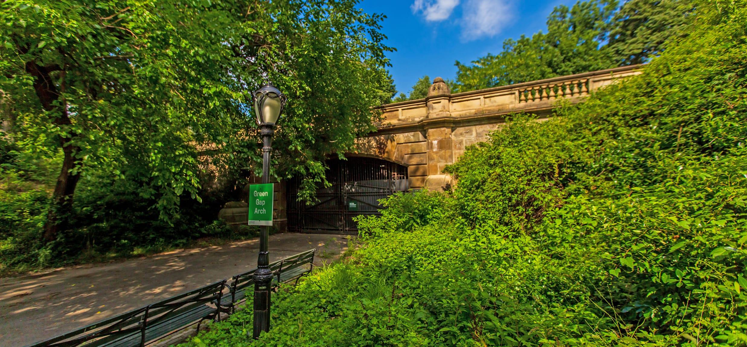 vegetação do Central Park em Nova York